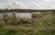 Sø ved Langeskov