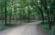 Vejrup skov