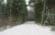 Vejrup skov