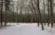 Vejrup skov